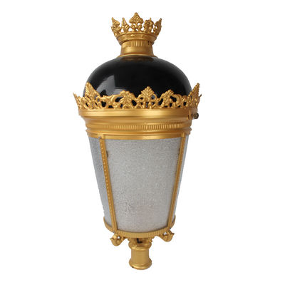 Lampes à LED pour jardins de jardins haute puissance 70W 100W 120W 150W