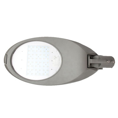 Lumière de rue 80w 100w IP66 avec conception et ingénierie personnalisées